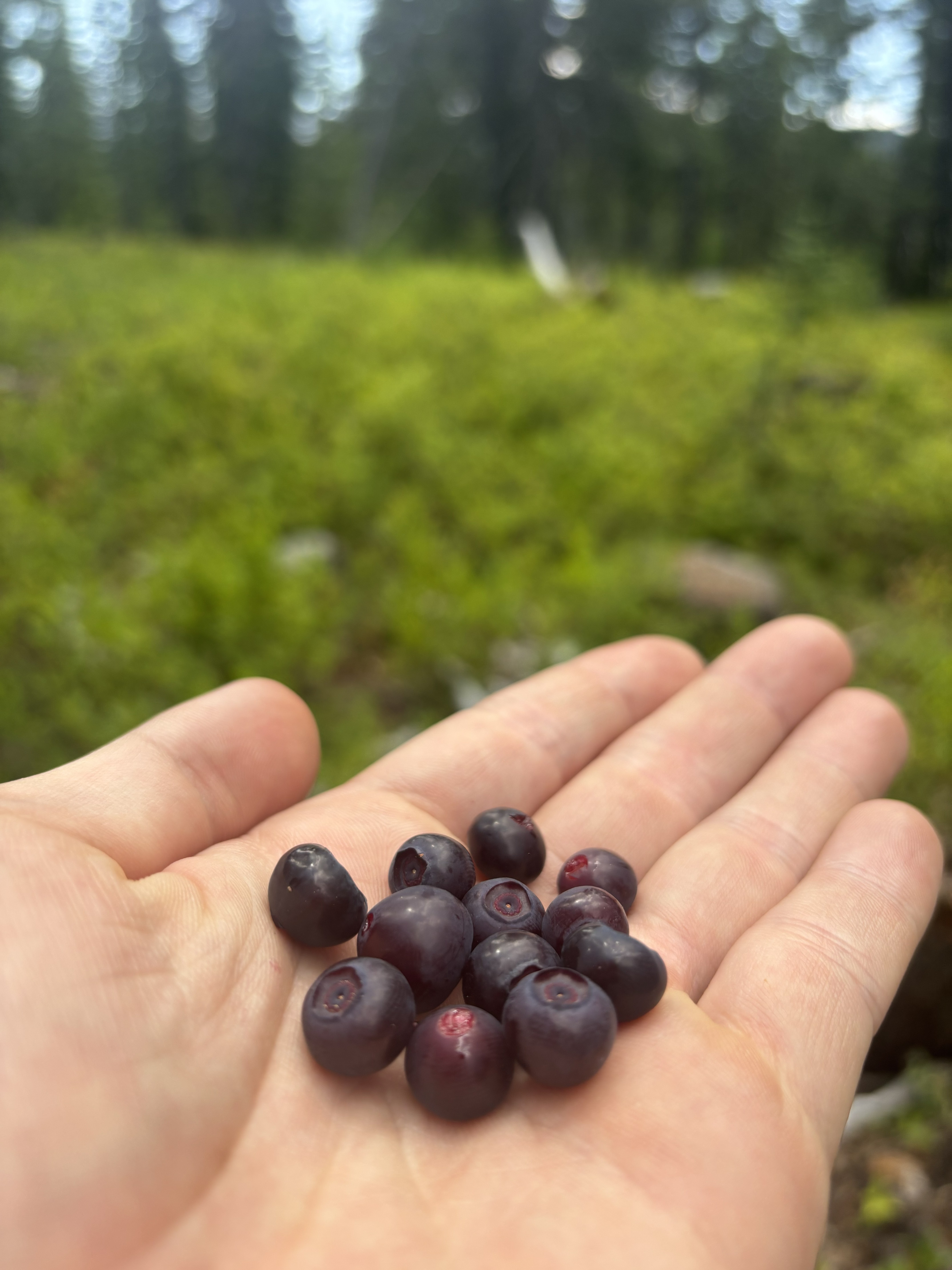 Quentin at ranger station