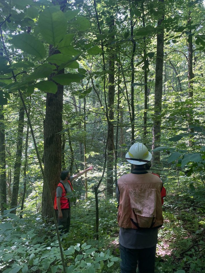 Field discussion in a forest setting