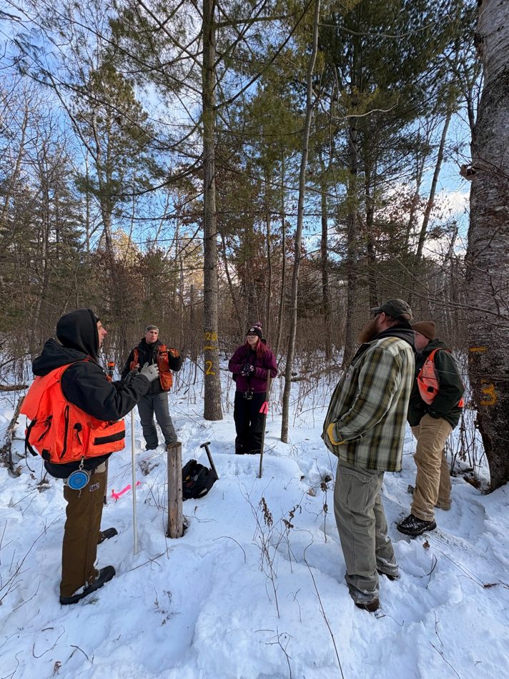 Forest inventory field visit in winter