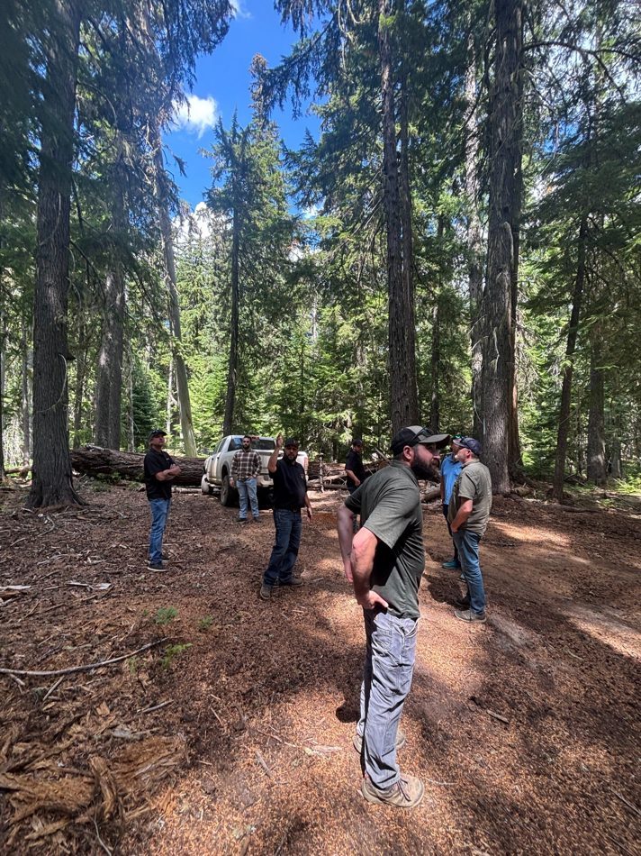 Partner field visit in a forest landscape