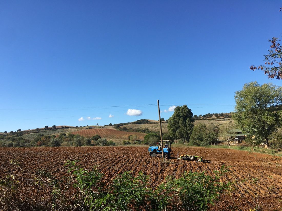 Agricultural working landscape in Italy